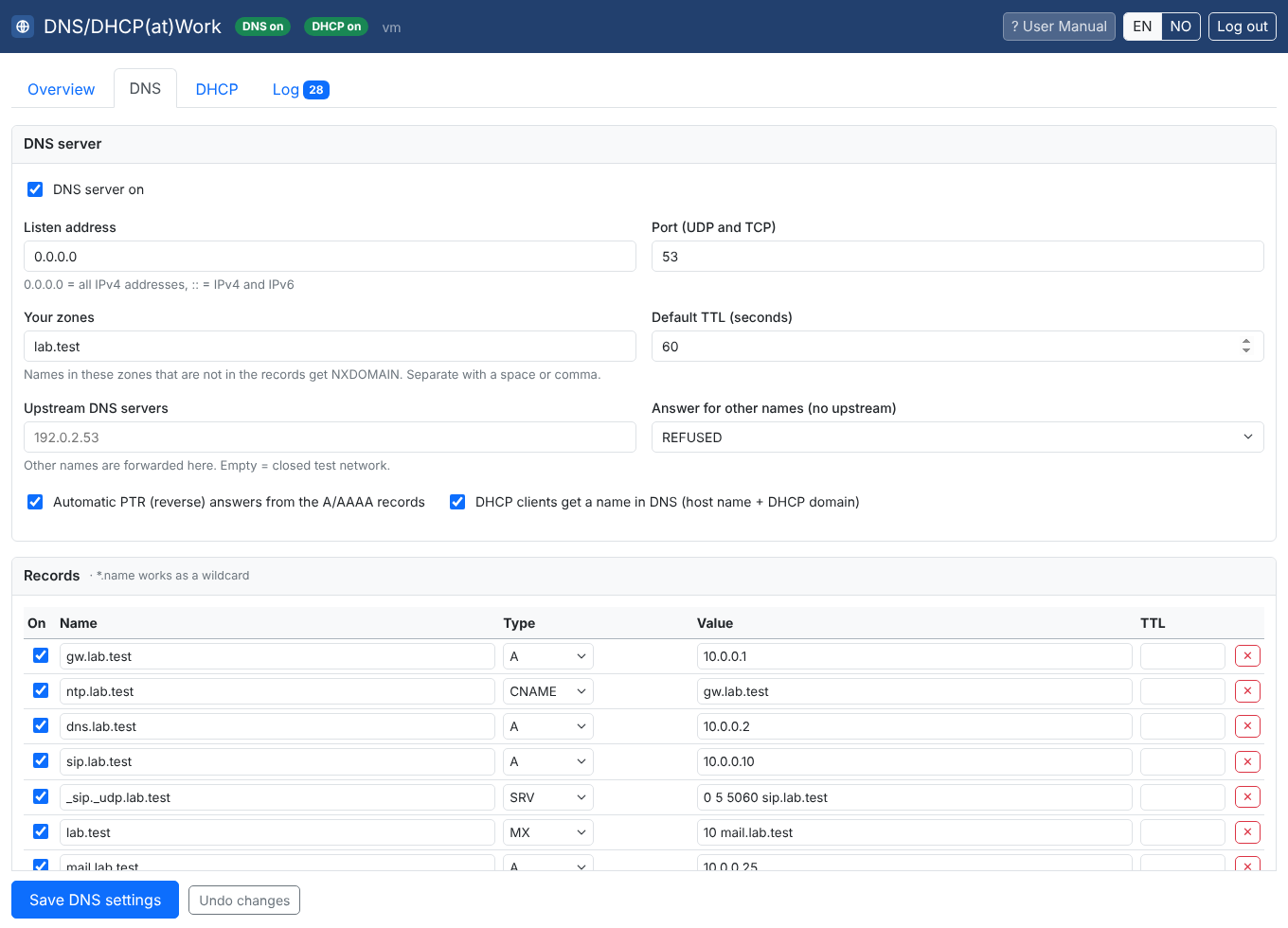 Screenshot. DNS settings